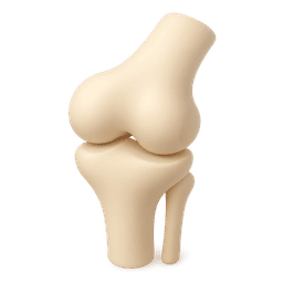 Orthopedics icon