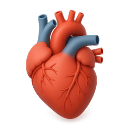 Cardiology icon
