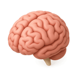Neurology icon